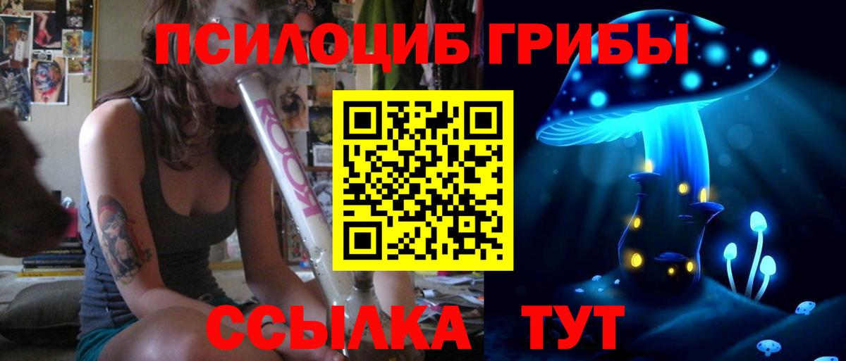 Псилоцибиновые грибы Psilocybe  Вход с VPN  Псилоцибиновые грибы мицелий  Тольятти 